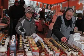 天气不利　加拿大枫糖浆产量暴跌图片
