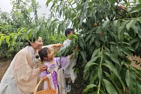 金山吕巷还原西游记场景，打造蟠桃盛会图片