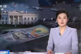 美国关税政策伤了谁？新闻观察 美七大科技企业中 五家海外收入占比过半图片