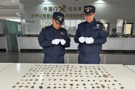 331.7克穿山甲鳞片！瑞丽海关查获塑料袋包裹动物鳞片进境案图片