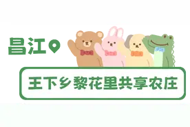 强国策划｜在海南共享农庄共享惬意田园梦图片