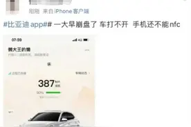 比亚迪最新回应！王朝、海洋App故障已恢复正常图片