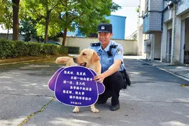 走失狗狗被民警暂养变成“反诈宣传员”，谁知主人来接时它却舍不得走图片