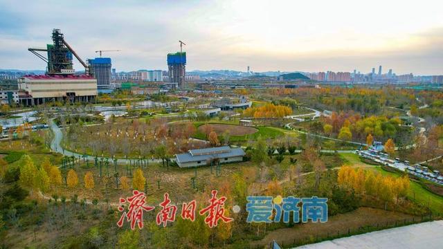 一年四季 泉在济南丨济钢片区中央森林公园初冬如画