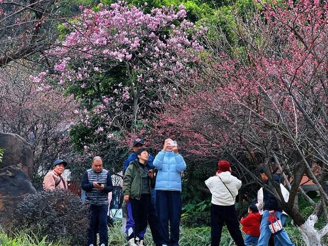 新春走基层丨桂林市区公园景区游人如织年味浓