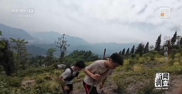 户外探险事故频发 如何规范管理“越界”行为？