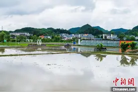 海峡两岸30余名媒体人开启贵州行图片