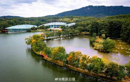 秋日南京韵味十足