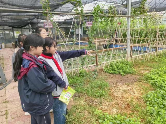 秋光正好，栖霞来邀