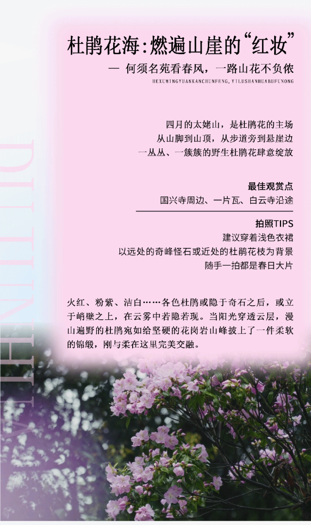 别辜负春天！4月宁德1景区进入颜值巅峰！快来赏花~