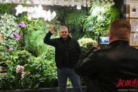 “中医真神奇！”80名外国友人在长沙体验中医养生保健图片