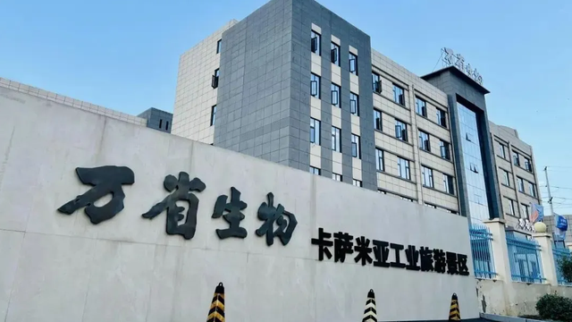 凭《731》电影票根，洛阳这12家景区免门票入园！