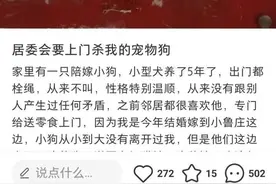 物业发通知禁止住户养宠物否则捕杀，社区：措辞不当，已撤掉图片