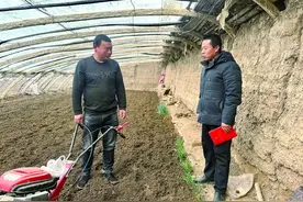 种好一亩三分地  走出致富新路子图片