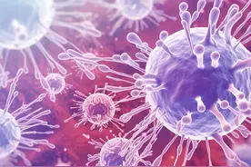 印度14岁男孩感染尼帕病毒死亡，专家提醒出境人群防疫图片