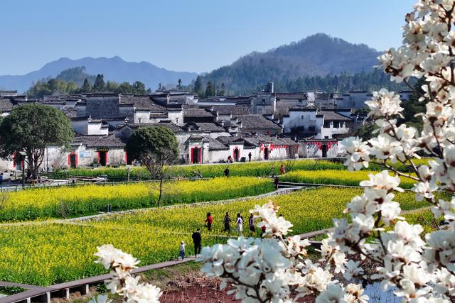 走进皖南 遇见春天！