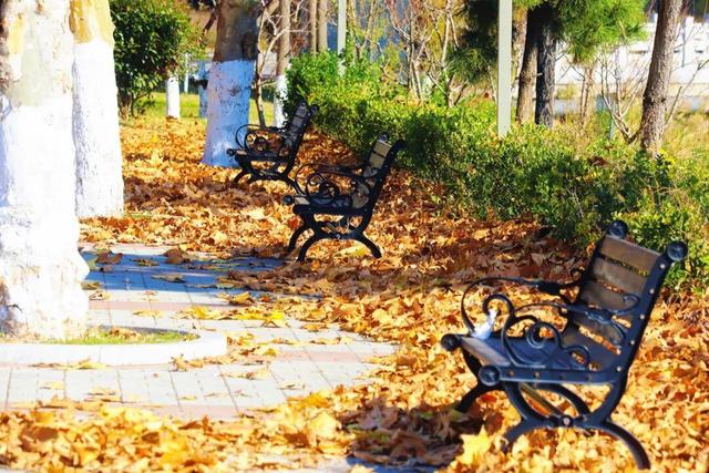 还在找威海初冬小众打卡地？这条河岸藏着惊喜