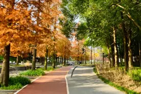 上海寒潮蓝色预警，马上就要冻得发紫！紧急安全提示来了→图片