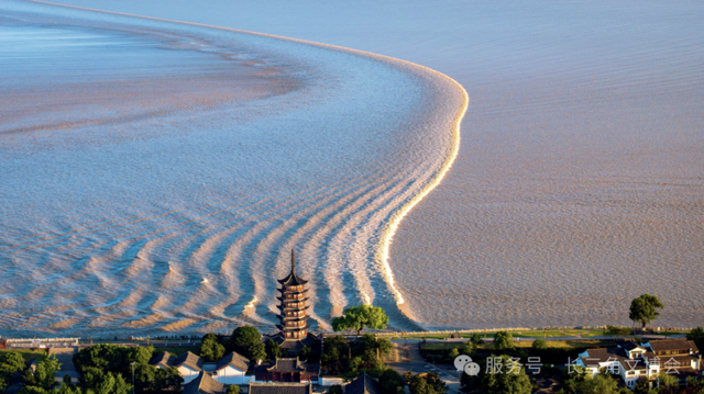 2025长三角文博会｜跨界融合创新展，全球首个“古镇+”跨界融合专题行业平台构建