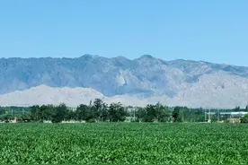 塞上行丨逆势 “豪掷”1.4亿元建红酒庄背后……图片