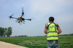 百余架无人机为40余万亩麦田做植保，河南传统农区用上“数字新农具”图片