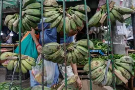 不再是第一！菲律宾香蕉对华出口锐减，越南成中国最大的香蕉进口来源国图片