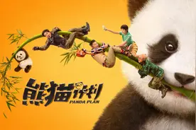 影视推荐 | 《熊猫计划》《大场面》上新，主打一个笑！图片