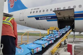 抢“鲜”出发，南航物流助力海南荔枝“飞”得更远图片