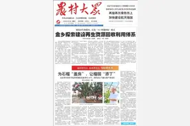 今日报纸头条|金乡探索建设再生资源回收利用体系图片