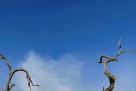 中国游客在印尼火山坠亡事故后续：事发悬崖口被封，崖边网红树被警戒线缠绕