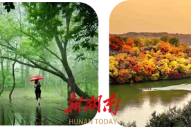 绿林、沙漠、水世界，一趟旅行都体验图片