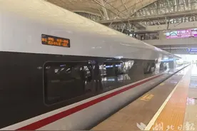 这趟列车，为何停靠武汉24小时？图片