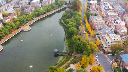 尽享秋日浪漫，大连24个“叶景打卡地”名单来了！