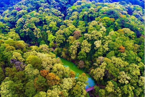 跟着演唱会游三明 | 听劝！去三明看演唱会，一定要留2天解锁这些神仙玩法～