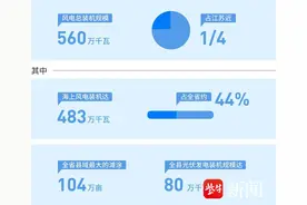 向高质量发展行进 | 海上风起绿电来图片