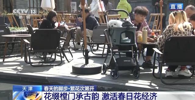 南北春花次第开放 “赏花经济”解锁农文旅融合新业态