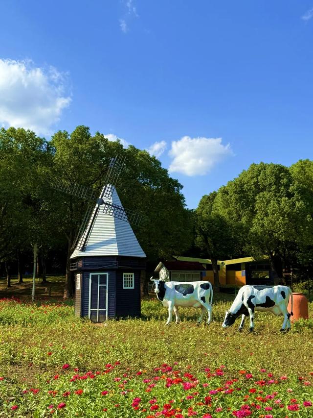 抓住晴天的尾巴！静安限时浪漫秋色，再不去就亏了丨静宝聊天室