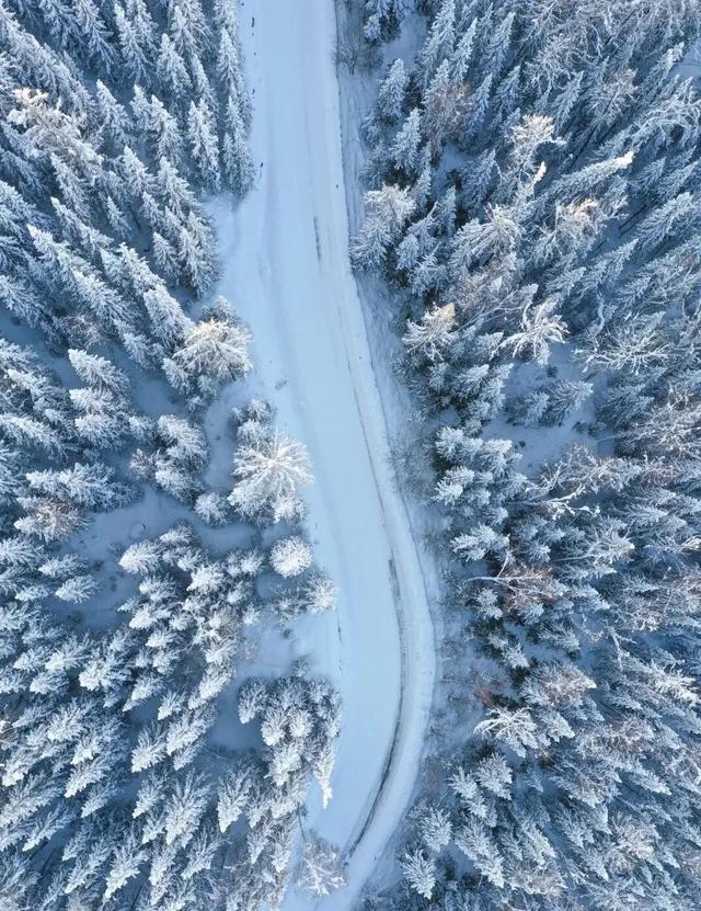 G331→G334，来延边体验全新东北故事