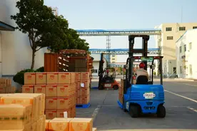 小花生蝶变大产业，“白胖子”成为开封农户增收的“金豆豆”图片