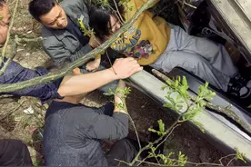 事发湖南张家界！国网员工路遇车祸徒手砸窗救人图片