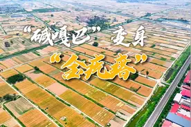 大地诗篇｜“碱嘎巴”变身“金疙瘩”图片