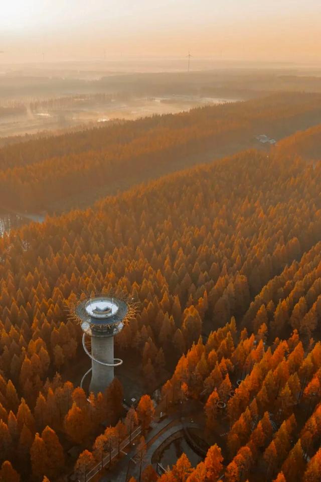 大雪了，你什么时候回盐城啊？