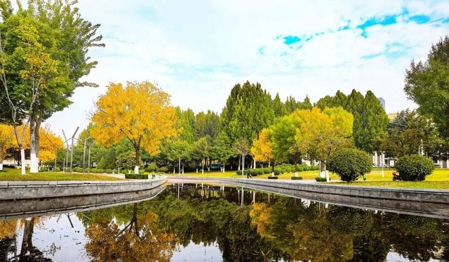 今日立冬！三个仪式解锁肥城初冬的终极浪漫！