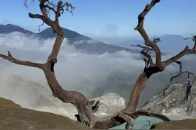 中国女游客印尼火山坠亡，向导称网红树已围起来！目击者发声图片