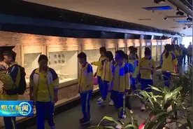 研学游团队游“候鸟”游掀起海陵冬季旅游热图片