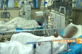 紧急提醒！小心昆虫中的“见手青”，云南一家四口全中毒！图片
