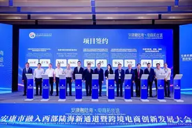 第九届丝博会带来合作机遇 安康富硒茶开启国际化新赛道图片