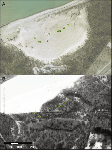 小心脚下！这种“活”沙丘会吃人，6岁男孩瞬间被吞噬，沙下藏着什么？