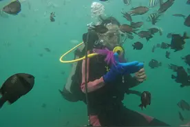 潜水乱象调查：卷低价刷客，无资质野潜图片