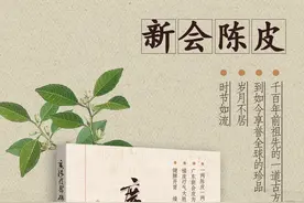陈皮入膳调百物——广陈皮的膳食密码图片
